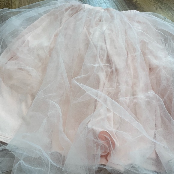 Windsor light pink tulle skirt with silver rhinestones - Picture 13 of 14